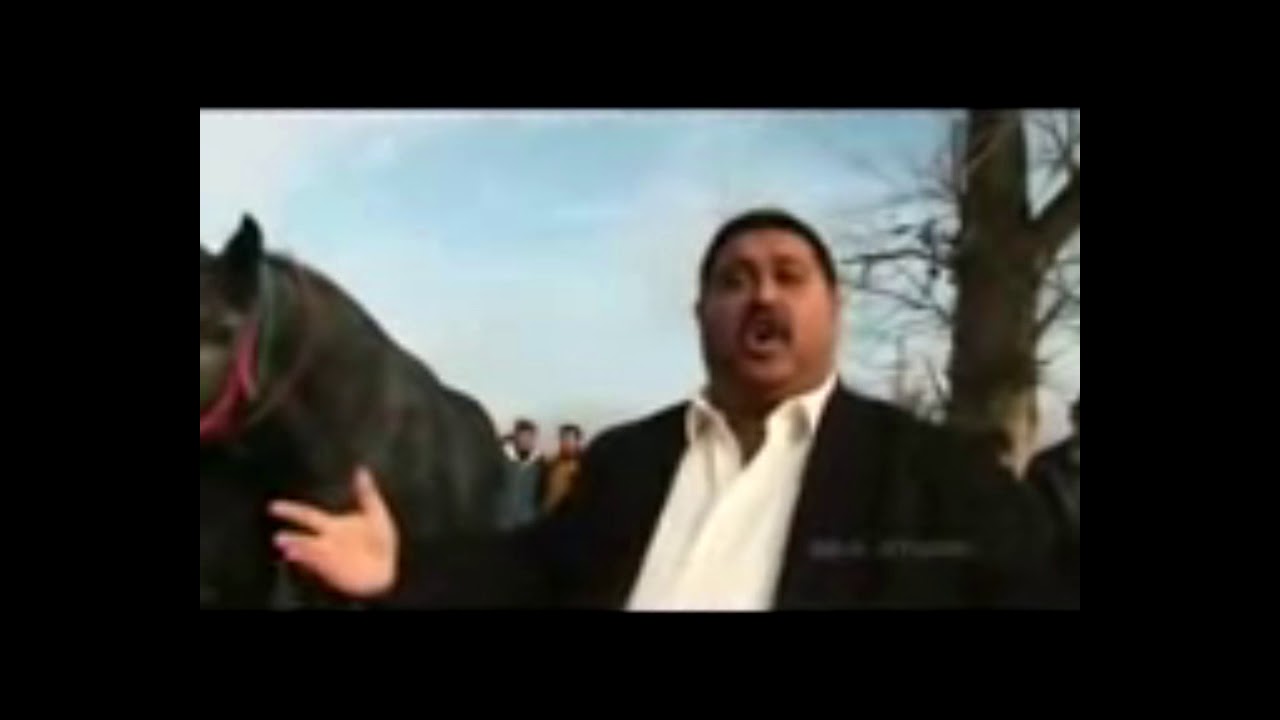 Grofo - Van Két Lovam HD 🐴 | Vígjáték és Szenvedély