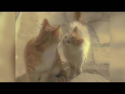 Руки Вверх-18 Мне уже(Speed up)♡