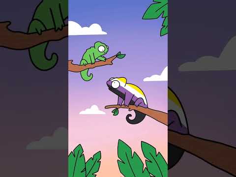 It's really that simple 🥹🦎 #lgbt #nonbinary #enby #pride