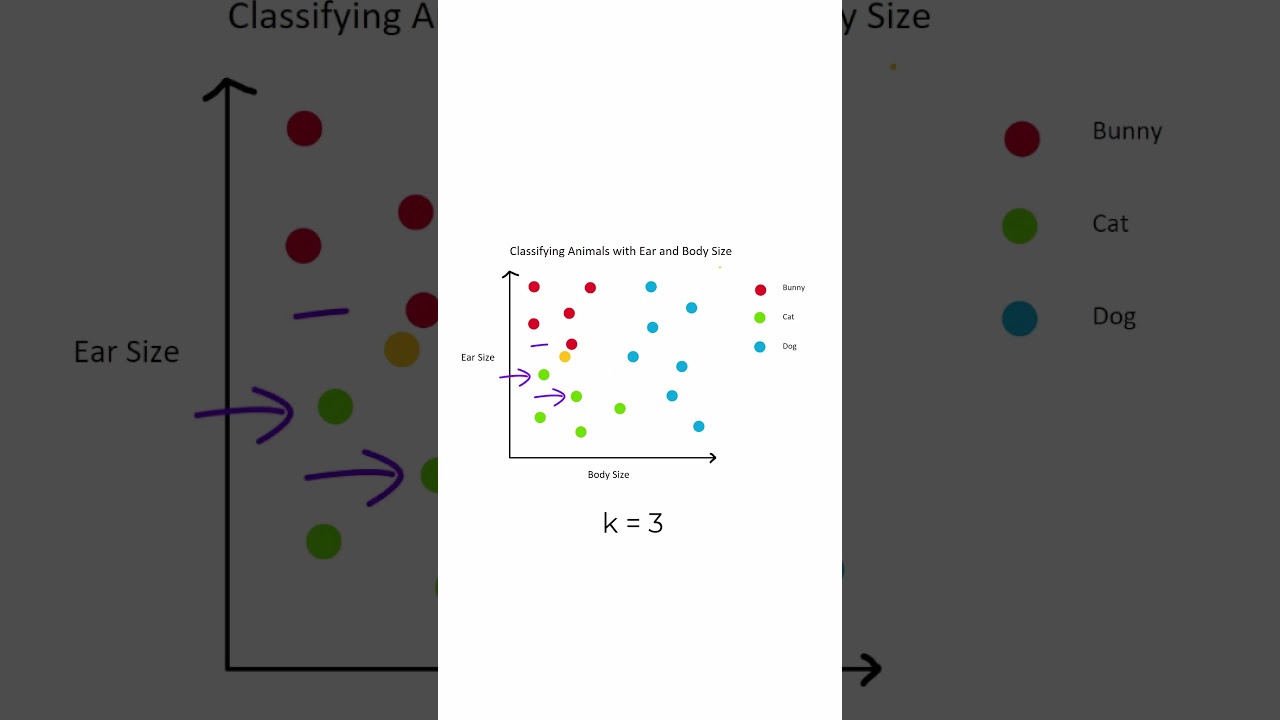 Simplified Guide to K-Nearest Neighbors (KNN) Algorithm 📊