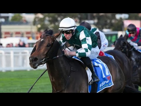 Treasurethe Moment Aims for Cox Plate Glory 🏆
