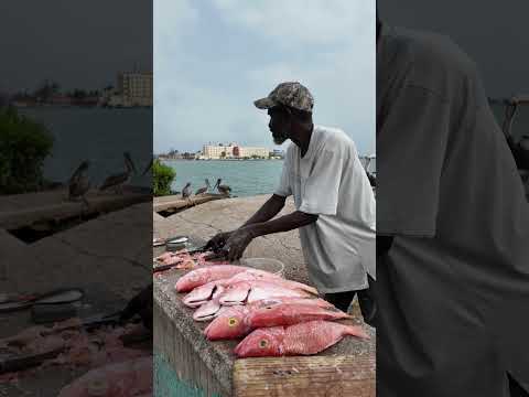 Belize Is Crazy! Must Visit Destination!