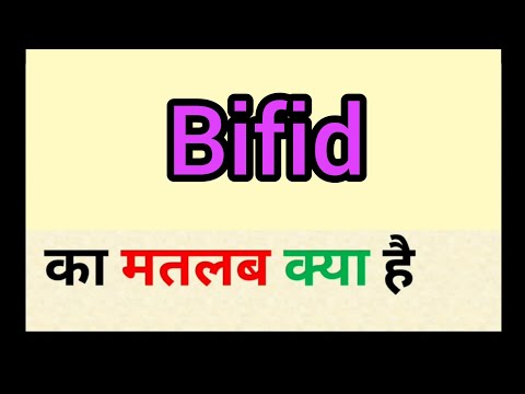 Bifid meaning in hindi | bifid ka matlab kya hota hai | word meaning English to hindi