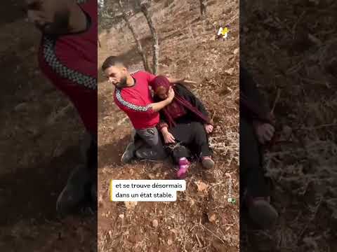 Un colon assomme une Palestinienne ùgée