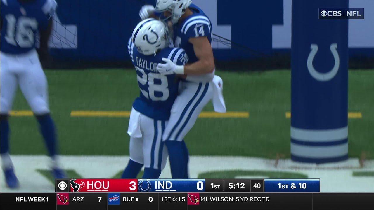 Spectacular 60-Yard Catch by Alec Pierce 🏈