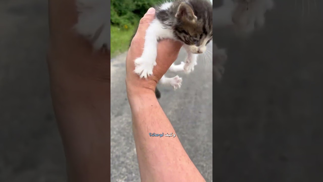 فخ بني قطوس 😂 | دبلجة مضحكة ومقالب سعودية 💥