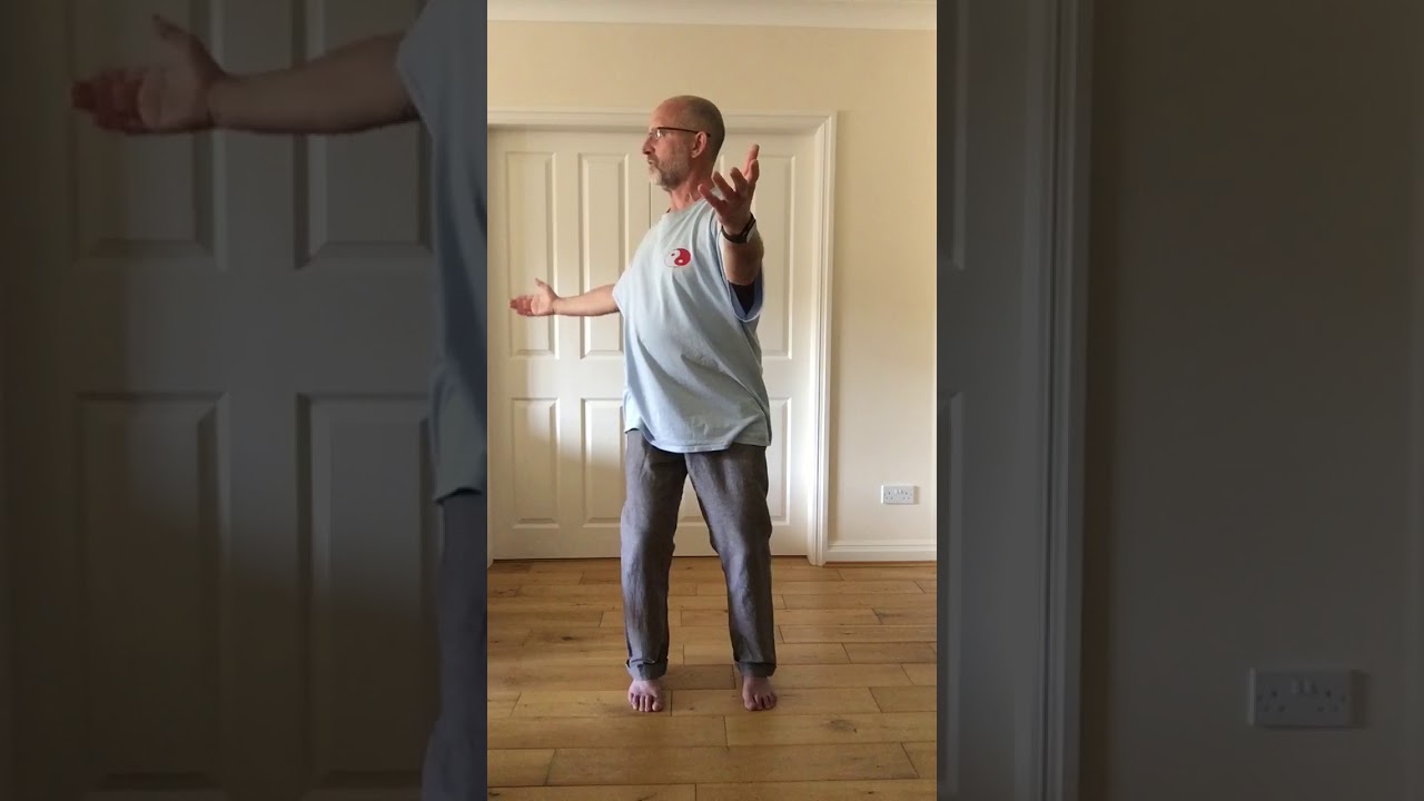 Basic Tai Chi Form Practice 🥋