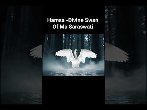 The Mystical Swan of Saraswati | Symbol of Wisdom and Liberation Hamsa #hamsa #saraswati #swan