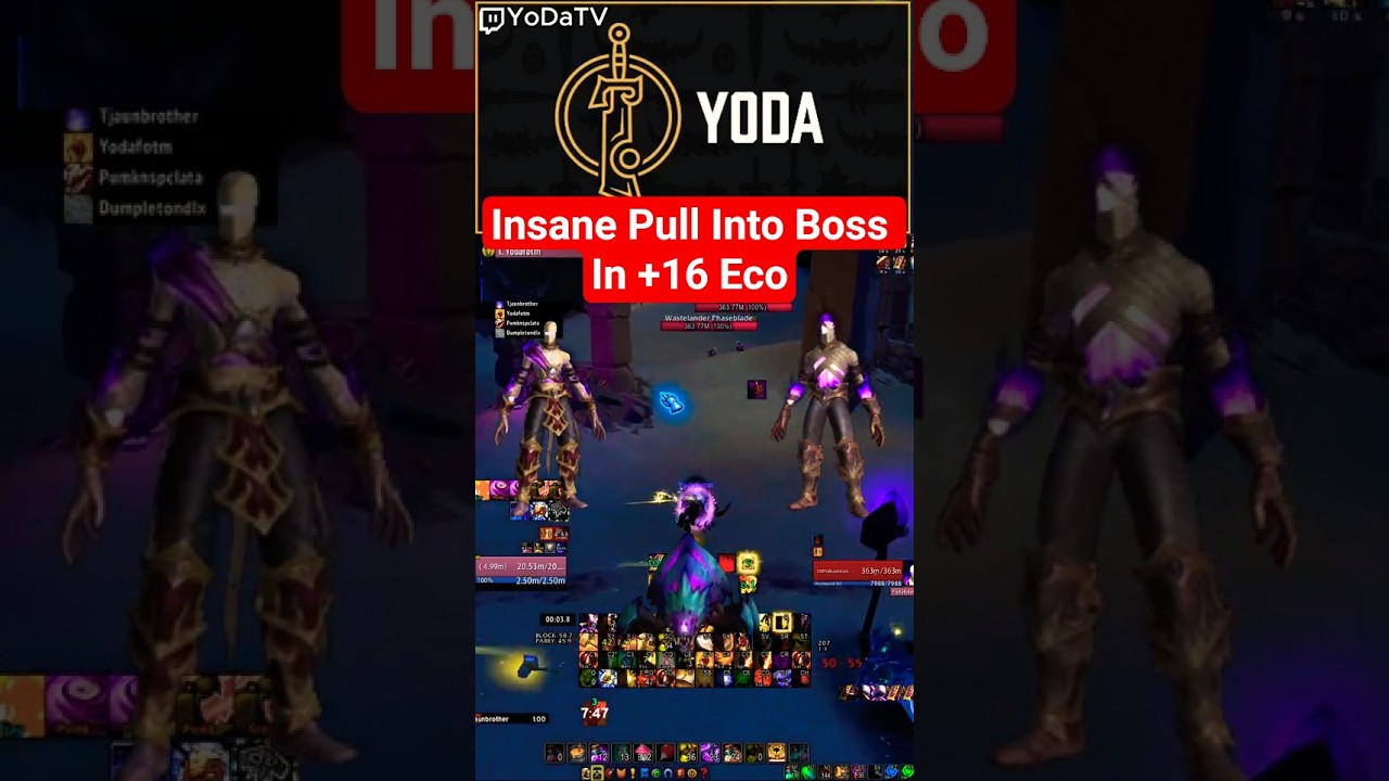Yoda Pulls Boss +16 as Protection Paladin 🛡️