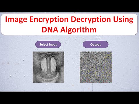 Image Encryption Decryption Using DNA Algorithm | Image Encryption Decryption Using Matlab Code