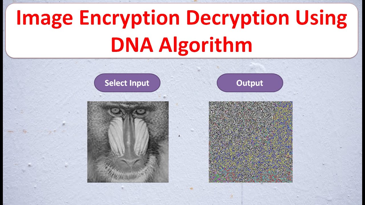 Image Encryption and Decryption Using DNA Algorithm with MATLAB Code