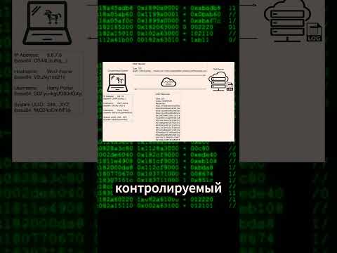 Data Exfiltration #programming #cybersecurity #hacker