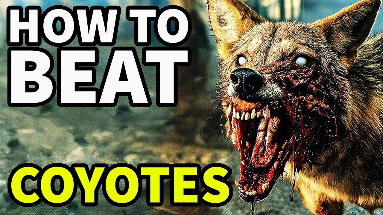 Tips to Defeat Demon Dogs in 'Coyotes' 🐺
