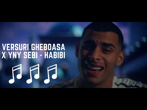 Gheboasa x YNY Sebi Habibi (Versuri-Lyrics)