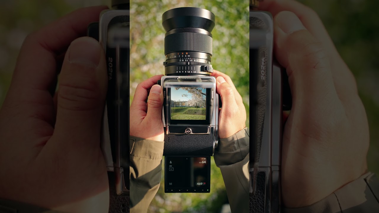 Reimagined Classic: 202FA & CFV 100C Under Cherry Blossoms ๐ธ