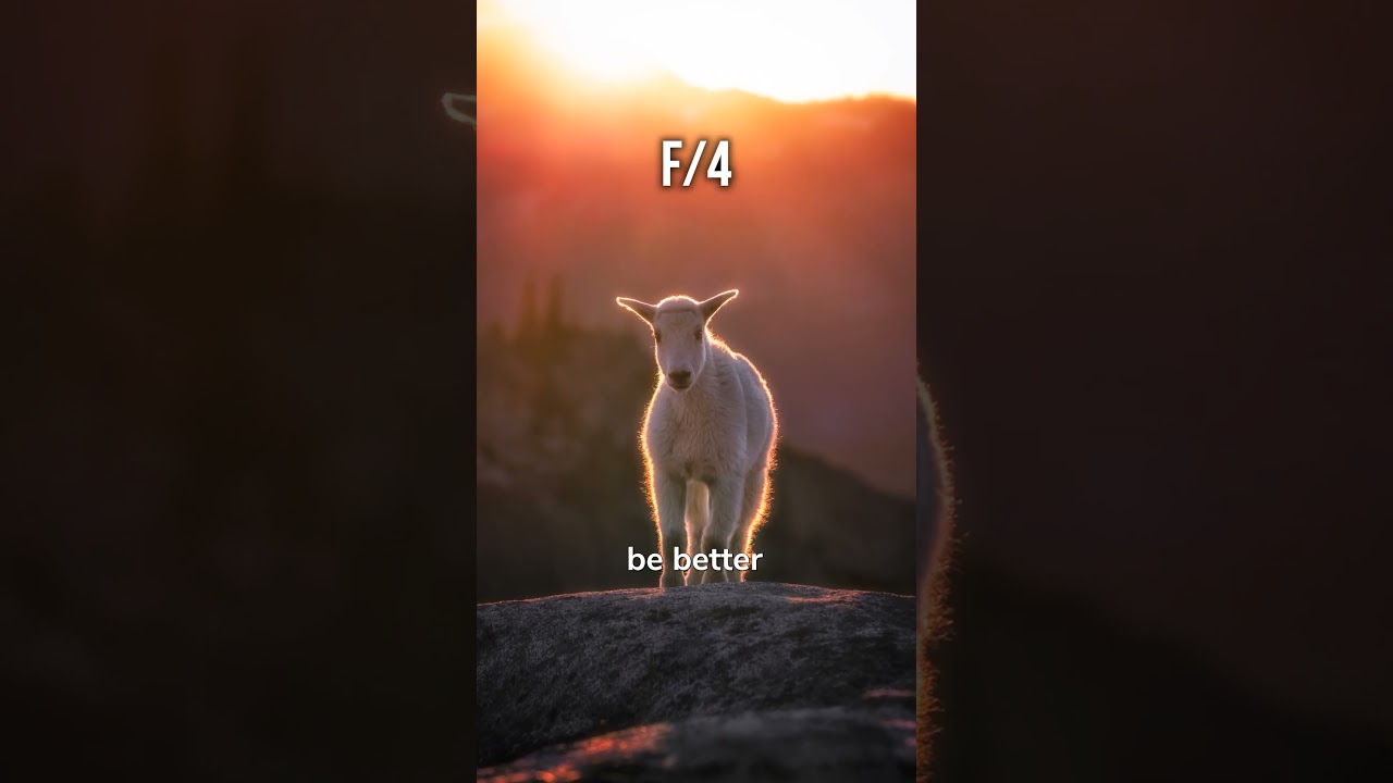 How to Shoot in Manual Mode on your Camera