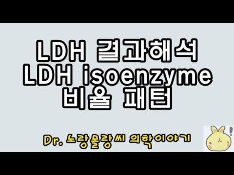 LDH 수치와 Isoenzyme 비율 분석 강좌 🩺