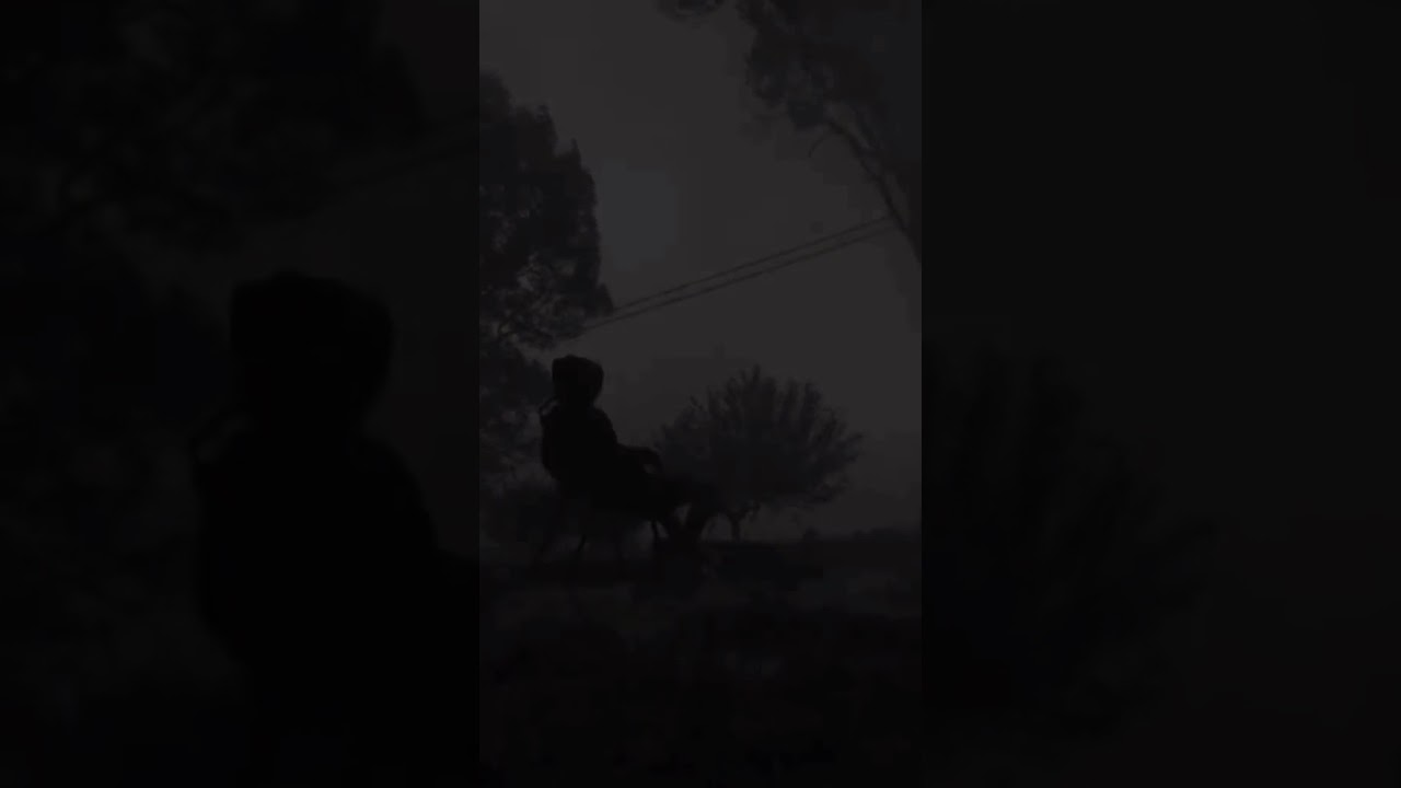 Disney Inspiration: Motivational Film Quotes 🎬