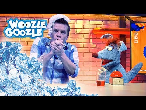 Warum Frieren Wir? Kälte, Tipps & Tierstrategien ❄️