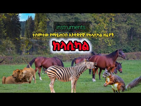 አዳዲስ ኢትዮጵያዊ ክላሲካል ዘፈኖች 🎶