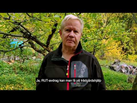 Astrakan Fruktträdbeskärning