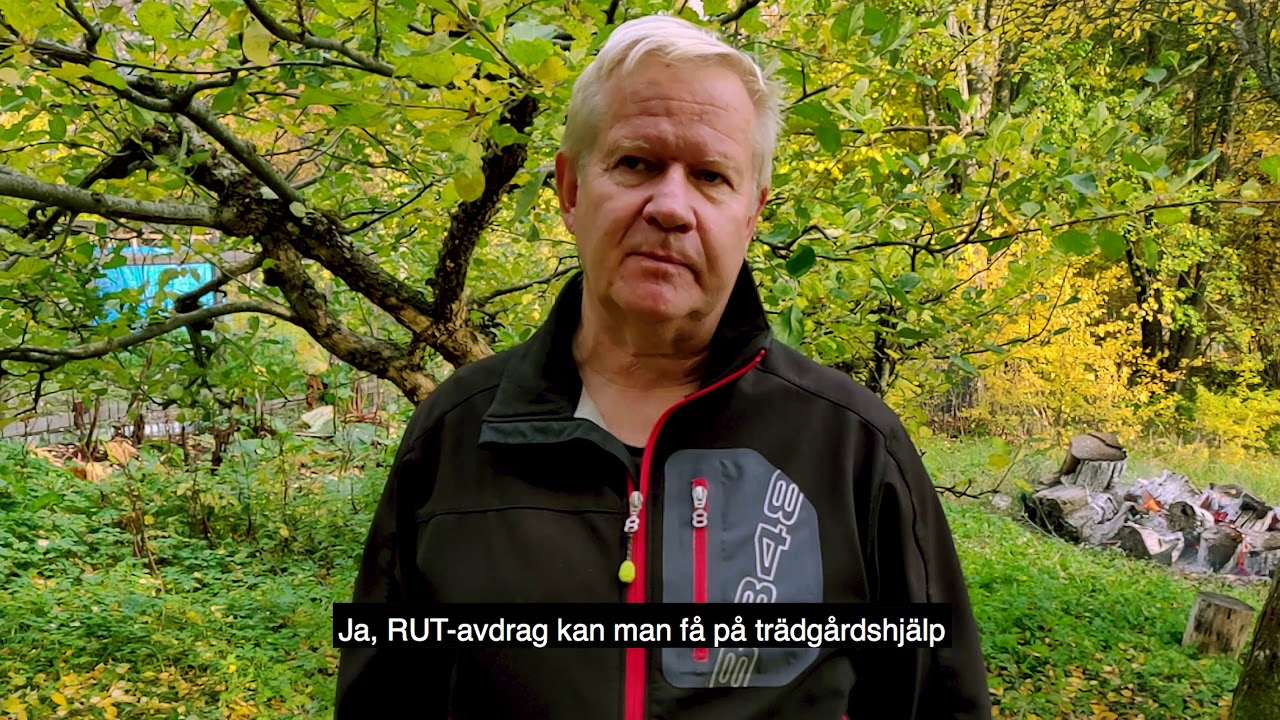 Astrakan Fruktträd Beskärning ✂️