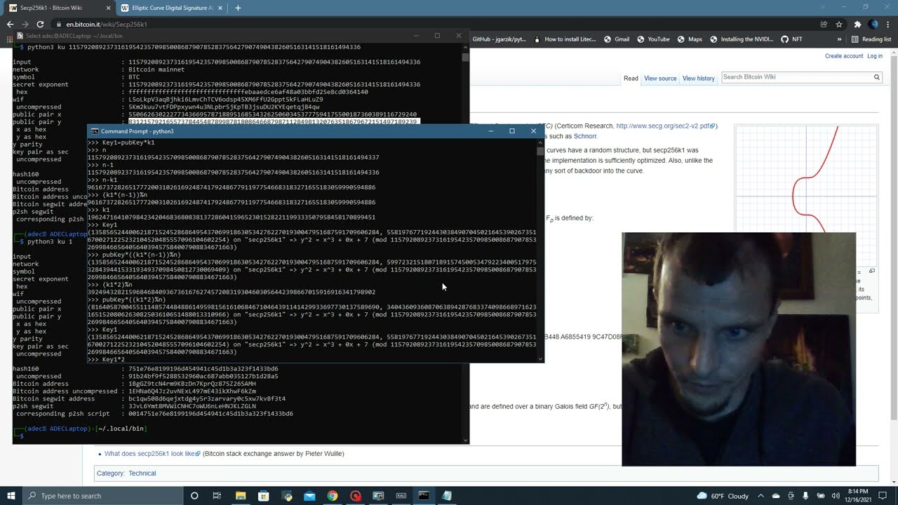 Understanding Bitcoin's Elliptic Curve Digital Signature Algorithm (ECDSA) with Python and SECP256k1