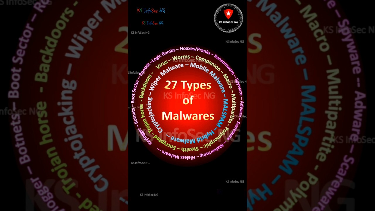 Discover the Main Types of Malware & How to Protect Yourself 🔒