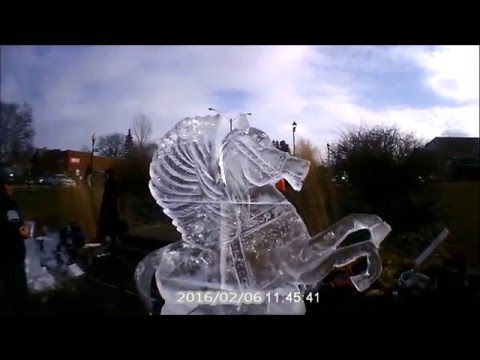 Ice carving competition - Chef David Hawey - Experience DC