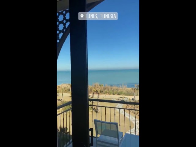 Ricevi le Stories del Tuo Influencer Preferito ogni Giorno! 📲