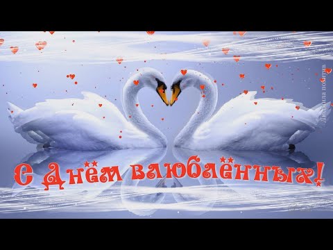 С днем влюбленных! Красивая видео открытка поздравление