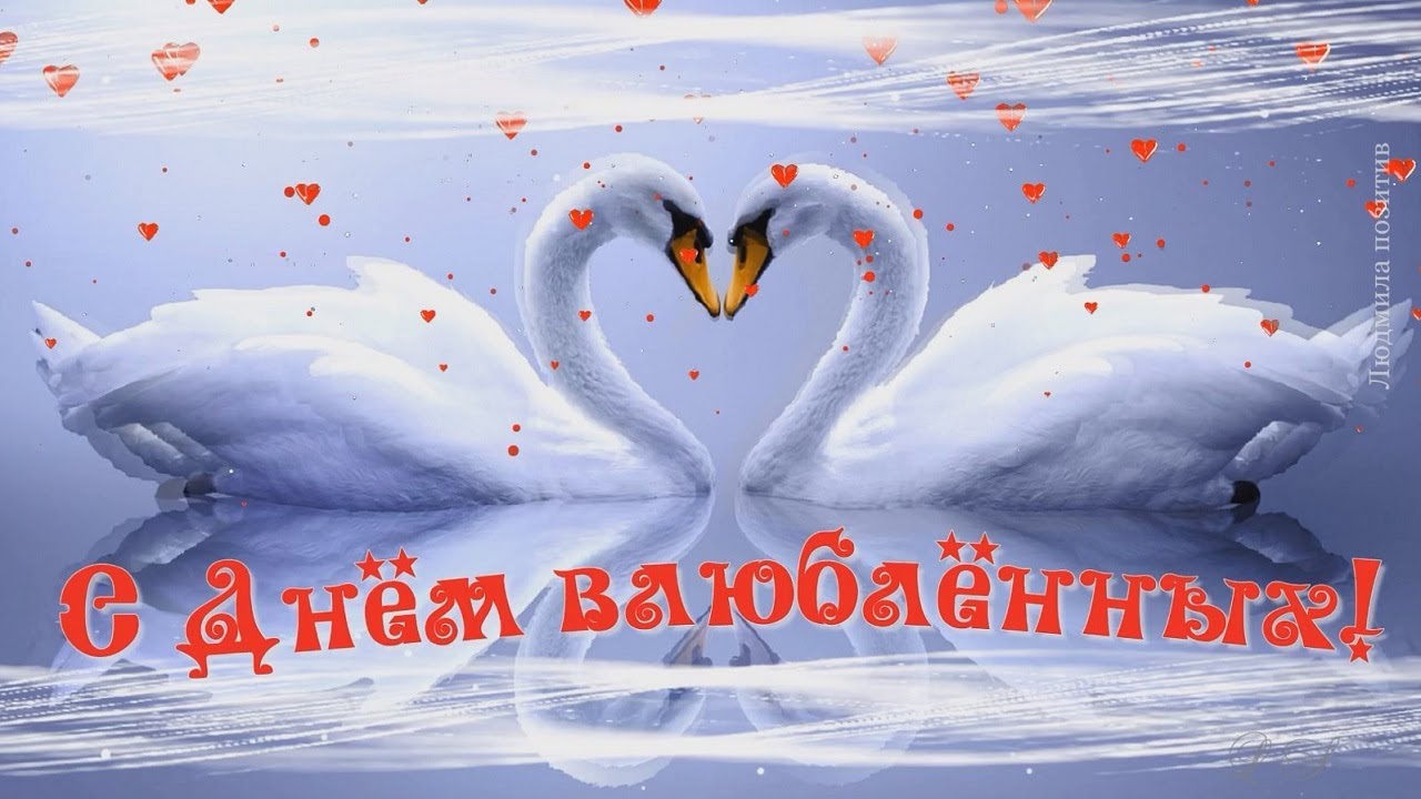 С Днем влюбленных! 🎬 Красивое видео-поздравление