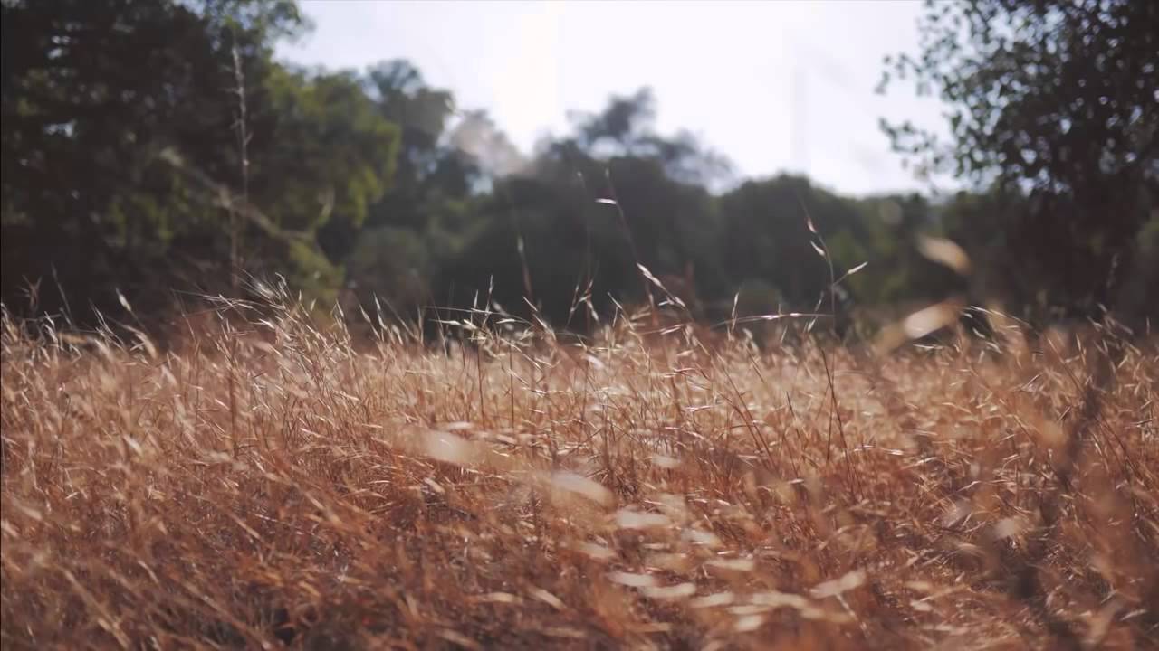 نشيد عن النبي صلى الله عليه وسلم 🌹