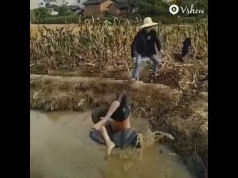 Fokaha 2017: Key Highlights