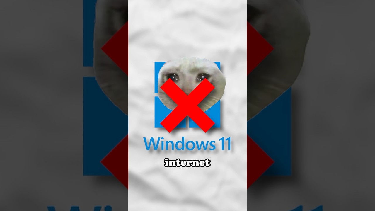 Windows 11 Install Guide and Dawid Merchandise