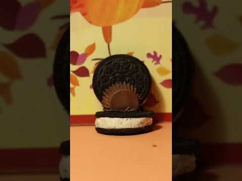 Thanksgiving Oreo Turkeys| Stop Motion | #shorts #diy #thanksgiving