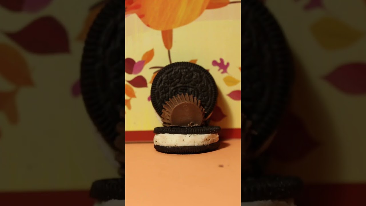 Creative Thanksgiving Oreo Turkeys π¦ | Fun DIY Stop Motion #shorts
