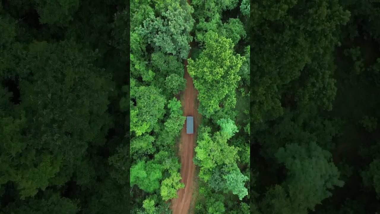 Explore Debrigarh Wildlife Sanctuary, Odisha 🌿