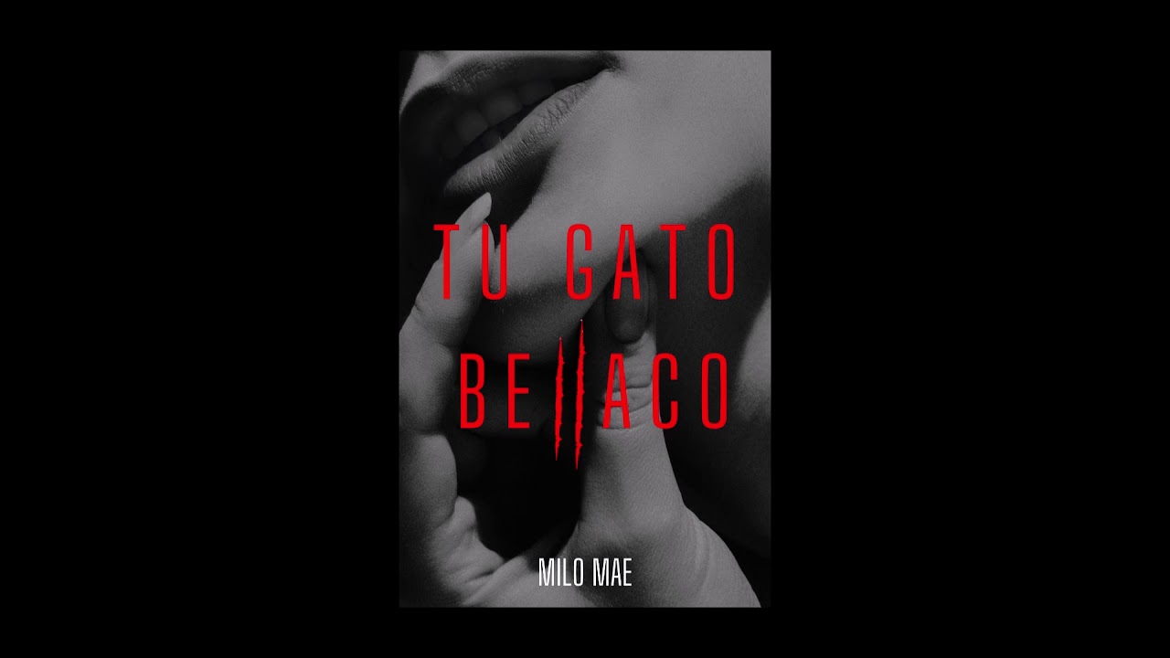 Milo Mae - TU GATO BELLACO (Audio) 🎶