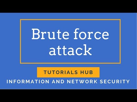 Brute force attack | INS | (Eng-Hindi)