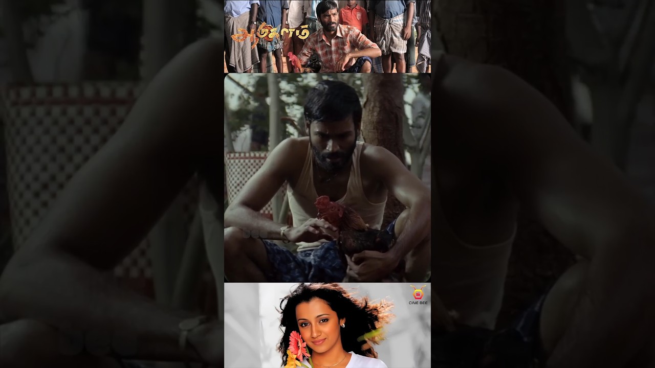 Did Trisha Act in Aadukalam? 🤔