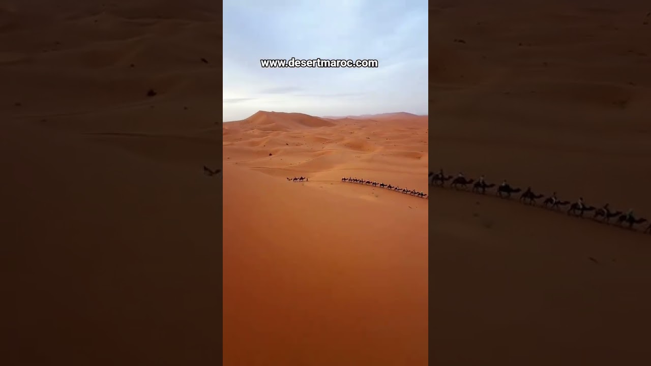 Explore the Majestic Marrakech Desert 🏜️