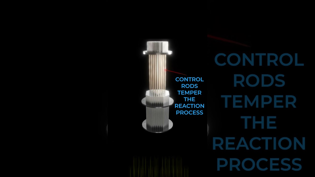 Nuclear Power Plants & Chain Reaction Control ⚛️