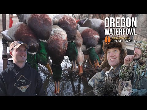 Hunting the Lands That Protect Wildlife | Oregon Duck Hunt!