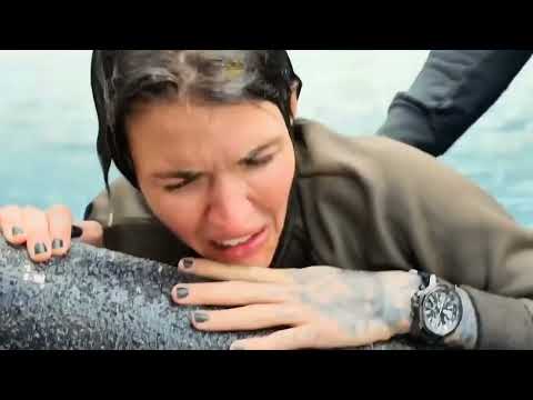 The Meg | Jason Statham - A Second Megalodon Scenes | Recap Blade #jasonstatham