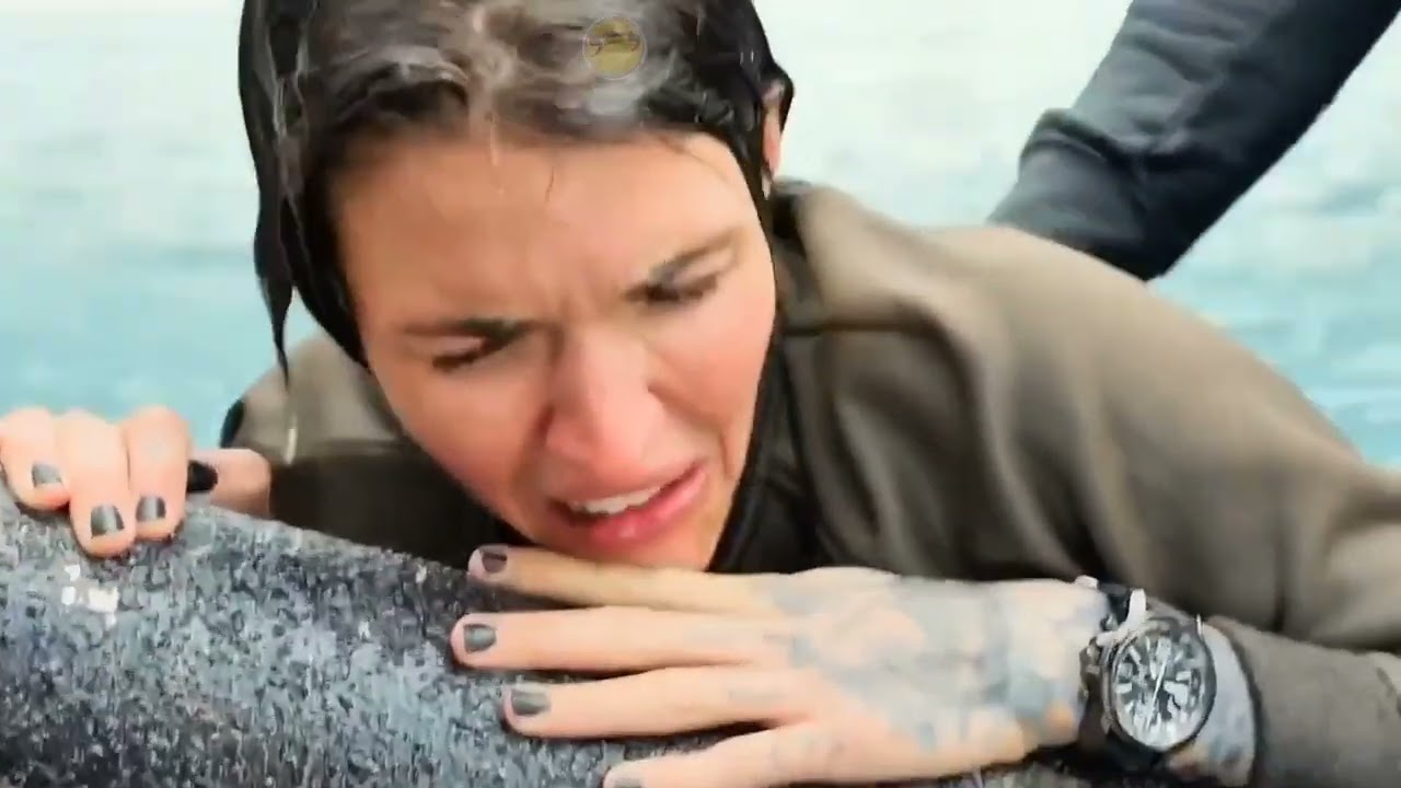 The Meg | Jason Statham - Key Scenes with a Second Megalodon | Recap