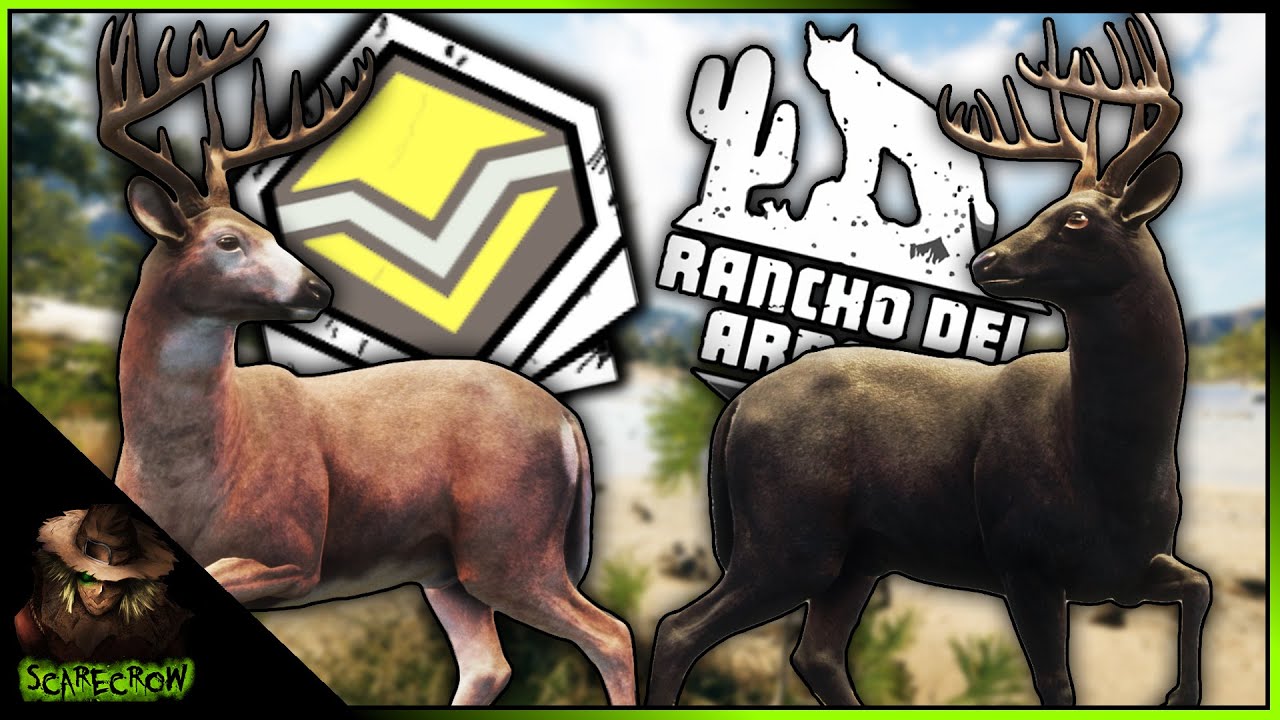 Whitetail Hotspot! Diamond Whitetail With The Air rifle & A Melanistic Whitetail! Call of the wild