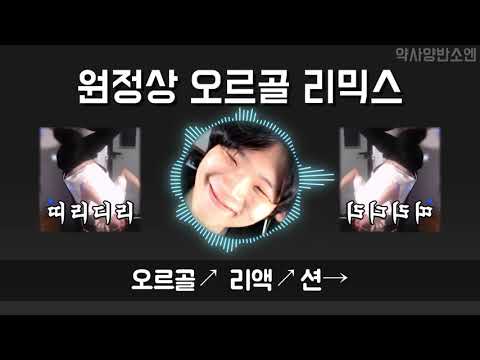 원정상 리믹스🎶 오르골 요들송 반응