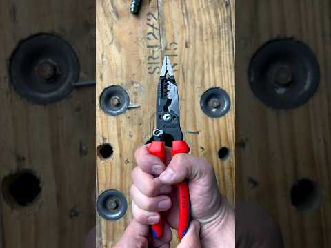 Every Pair of Strippers Should Have This Feature ⚡️