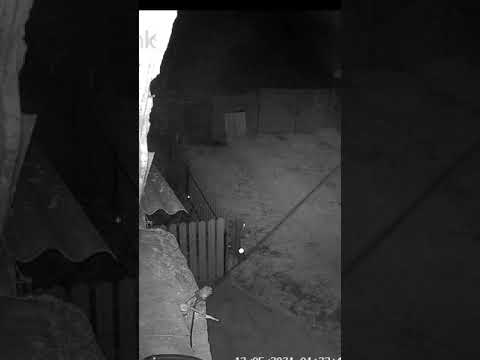 Необычное событие зафиксировано камерой 📹